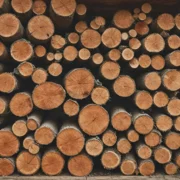 Rodzaje drewna do pergoli: które gatunki są najlepsze?